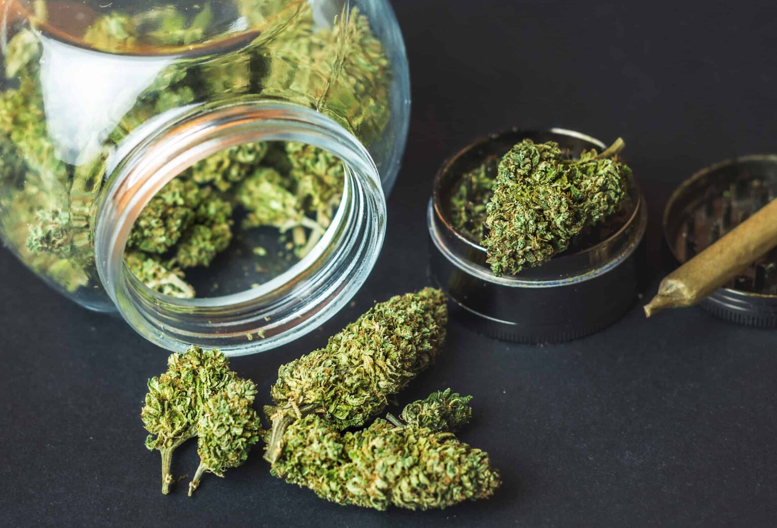 CBD Blüten – Wirkung, Legalität & Kaufberatung 2025 CBD Blüten